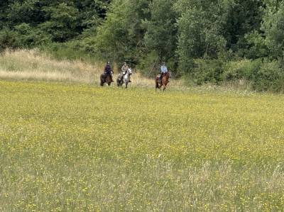 Balades et randonnées à cheval 