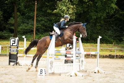 Partenaire sportif talentueux / cheval junior/enfants