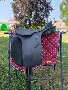 Bareback  guy cantin  15.5