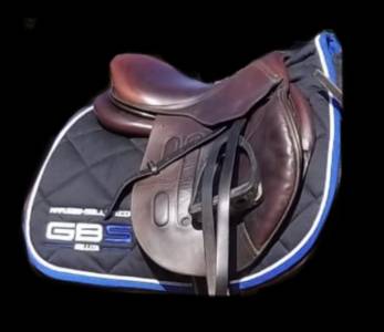Selle gbs 
