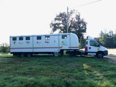 Van per Cavalli Iveco IVECO 35C18 / Semi Remorque VOW 2010 Occasione