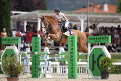 Cavallo in mezza fida 