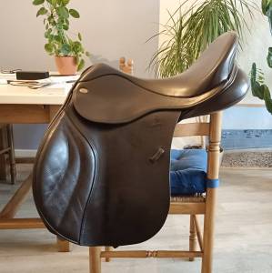 Sella mista fairfax  18