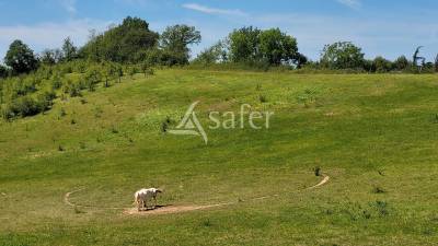 Corps de ferme idéal maraichage élevage Albi Castres 7ha