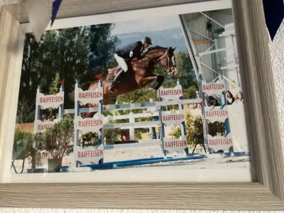 A placer gentil cheval 