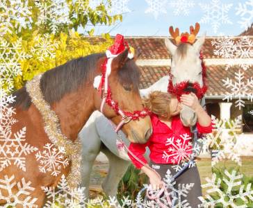 La méthodes équine impériale vous présente mrelegance!