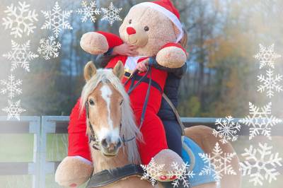 La méthode équine impériale vous présente....