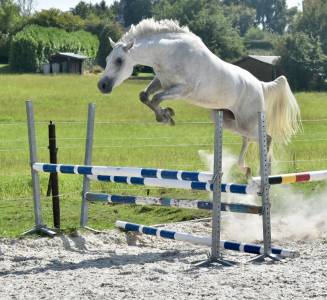 JEUNE 3 ANS TOP ORIGINES SPORT 