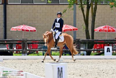 Pony da completo 4anni