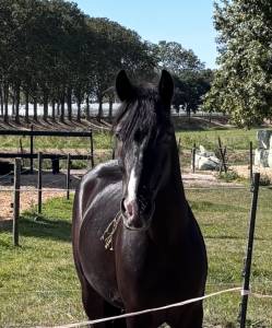 Looking for a new challenge? Meet handsome Jack?