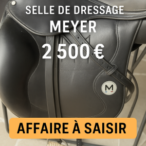 Meyer affaire a saisir 