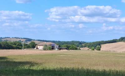 Aquitaine - Maison Landaise