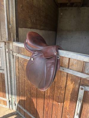 Sella da salto ostacoli antarès  17