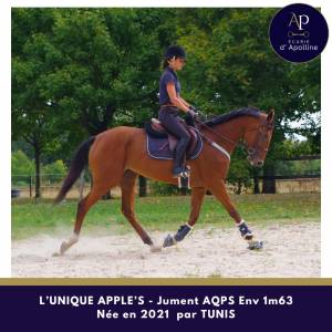 Jeune aqps, excellent mental