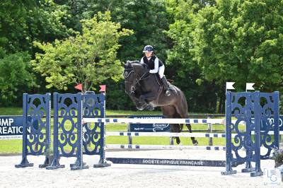 Castrone sella francese in vendita 2017 nero , balou du rouet