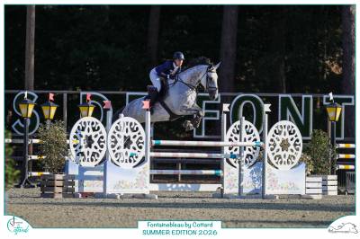 Jument de sport de 6ans