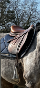 Selle renaissance 17,5 2023