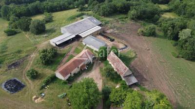 Exploitation bio en bovins lait sur 54ha, proche lalinde