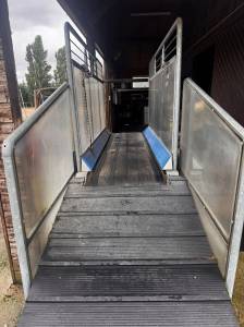 horse gym 2000 occasione