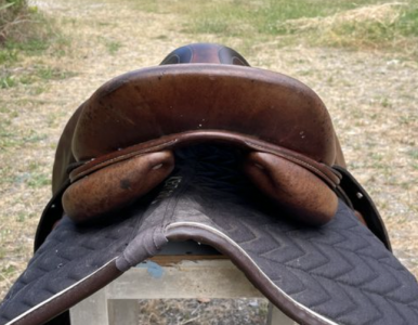 Selle antares 15