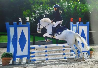  in vendita pony  da salto ostacoli – 135 cm 