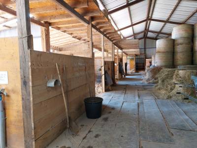 Palefrenier-ère / employer agricole