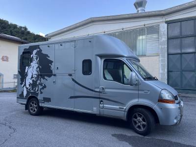 Van per trasporto cavalli usato in vendita
