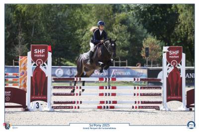 Pfs hongre 5 ans cso
