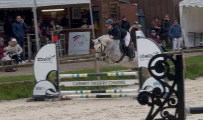 Cavalla pfs pony francese da sella in vendita 2019 grigio