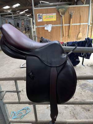 Selle primo prezzo cwd  17