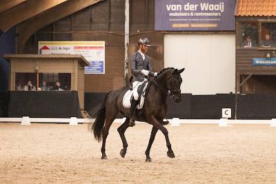 Cavalla kwpn cavallo da sport neerlandese in vendita 2014 altro colore ,  eastwood s