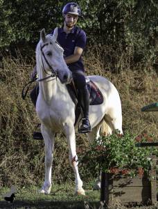 Castrone welsh part bred in vendita 2022 palomino ,  keizerskroon edison