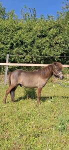 Entire Origin Recorded For sale 2024 Bay