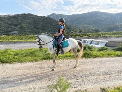 Pony dressage 