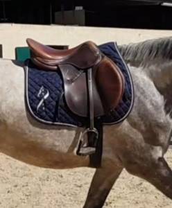Selle antares