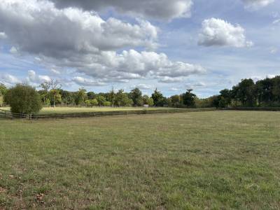 Centro di stagione cavallo in vendita calvados