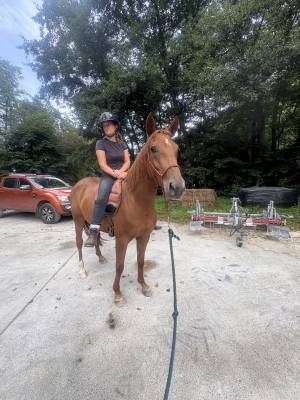 Poney obstacle 