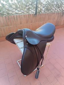 Montura + estribos + cincha