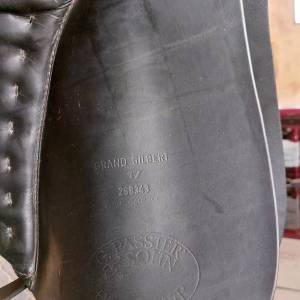 Selle Pasier Grand Ghilbert