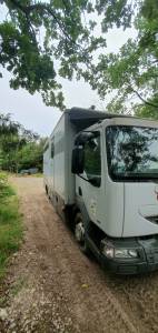 Camion per cavalli renault  2001 occasione