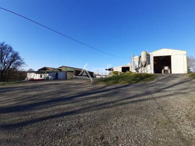 Explotación avícola en venta deux-sèvres