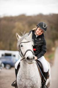 Gelding Connemara Part-Livery 2012 Grey
