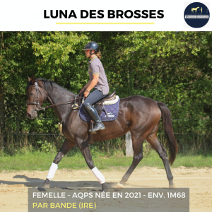 Luna des brosses - aqps - 4 ans 