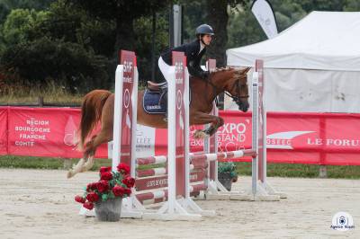 Cavalla pfs pony francese da sella in vendita 2021 sauro ,  heliostar de cazals