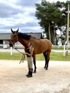Cavalier soigneur