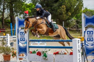 Poni B de salto 