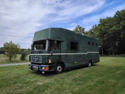Camion per cavalli man  1992 occasione