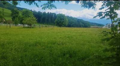 Pension à puidoux (vaud)