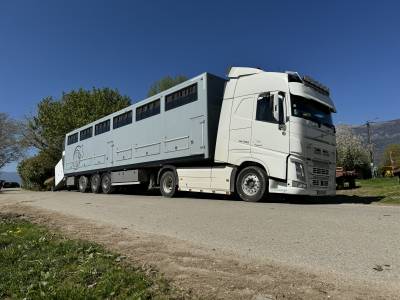 Semirimorchio cavalli - altra marca -  2021 occasione
