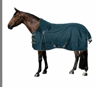 Affaires d'équitation à vendre 